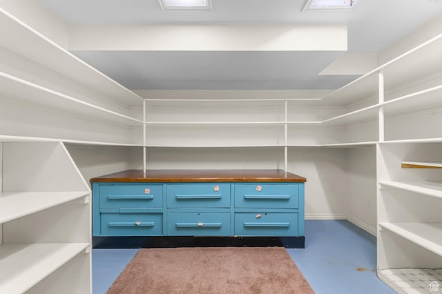 4630 S Stockbridge Ln, Millcreek, UT 84117 - view of spacious closet