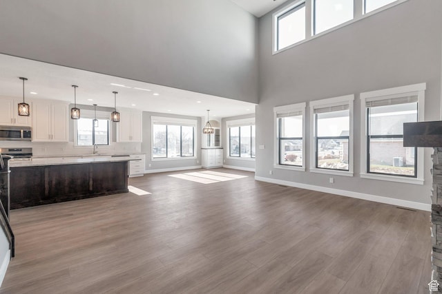 1766 S 1850 W Unit 08, Mapleton, UT 84664 - unfurnished living room with wood finished floors, healthy amount of natural light, a high ceiling, and recessed lighting
