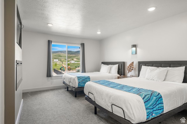 175 S Blue Topaz Ln, Garden City, UT 84028 - carpeted bedroom with recessed lighting and a textured ceiling