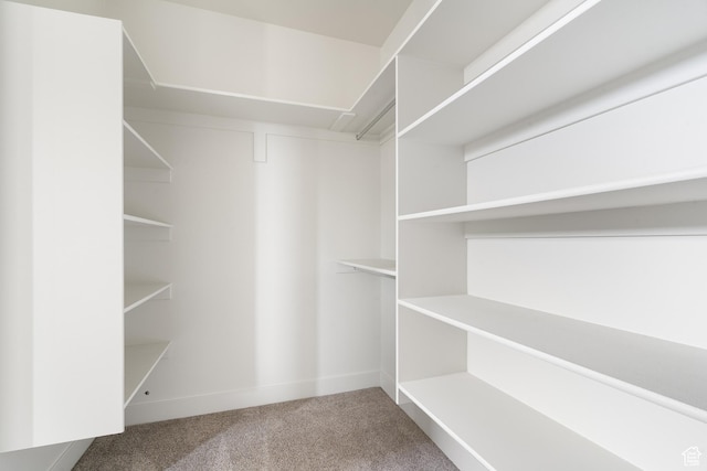 2639 S Mann Ln, Cedar City, UT 84720 - spacious closet featuring carpet