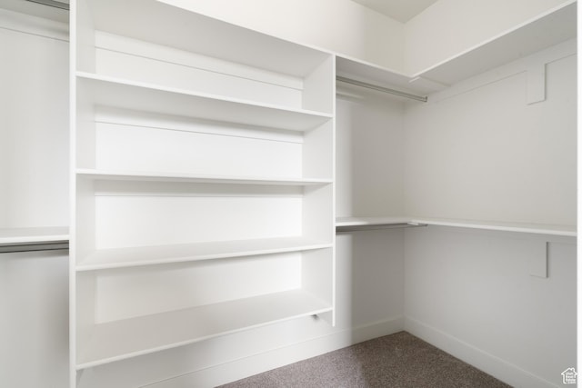 2639 S Mann Ln, Cedar City, UT 84720 - spacious closet with carpet