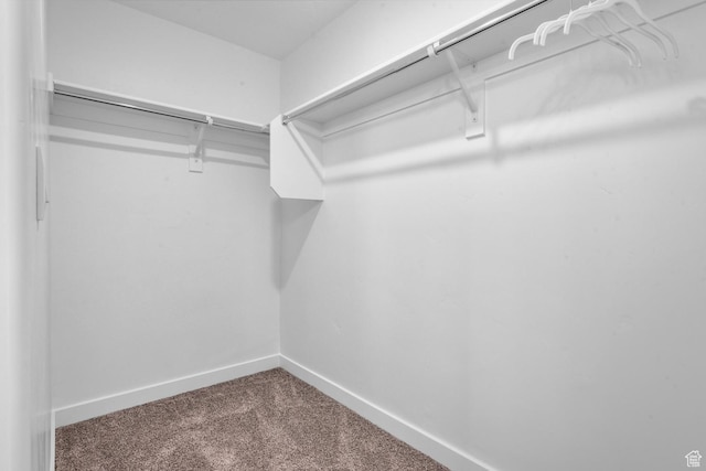 1282 N 375 E Unit 150, Harrisville, UT 84404 - spacious closet featuring carpet floors