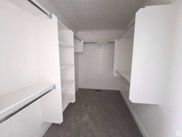 1726 S 3875 W Unit 225, West Weber, UT 84401 - view of spacious closet