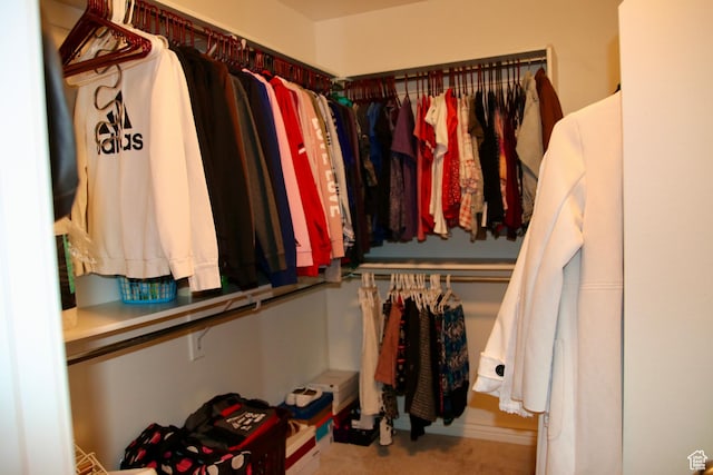 270 Amsterdam Dr, Stansbury Park, UT 84074 - view of spacious closet