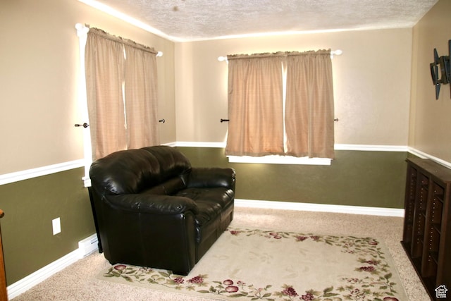 270 Amsterdam Dr, Stansbury Park, UT 84074 - living area featuring a textured ceiling and carpet