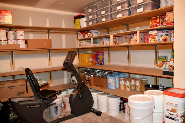 270 Amsterdam Dr, Stansbury Park, UT 84074 - view of storage room