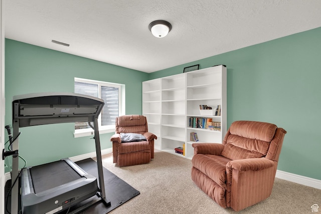 126 N Balsam Way W, Price, UT 84501 - exercise room with carpet floors and a textured ceiling