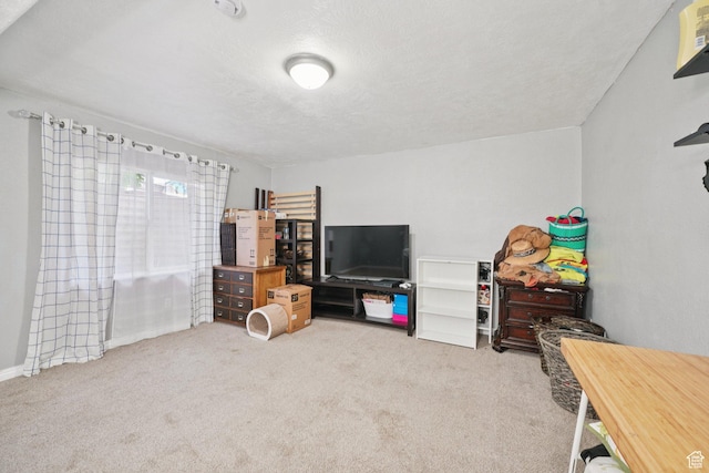 1213 E 540 N, Spanish Fork, UT 84660 - interior space featuring a textured ceiling