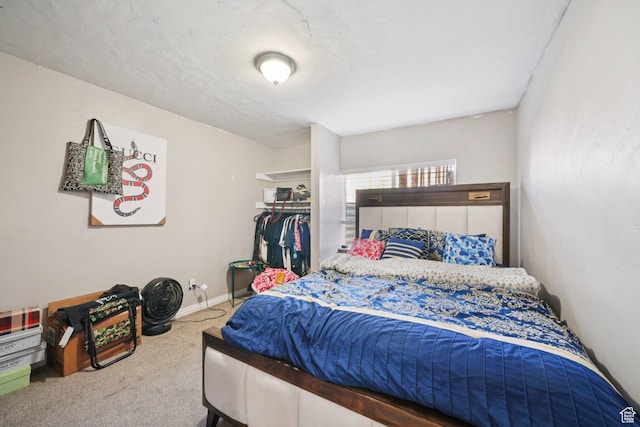 1213 E 540 N, Spanish Fork, UT 84660 - carpeted bedroom with a closet