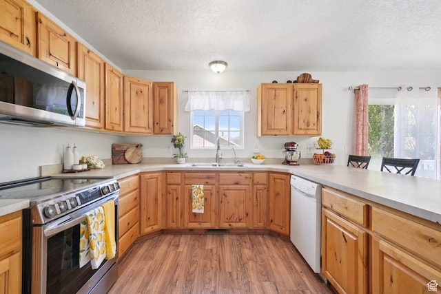 1213 E 540 N, Spanish Fork, UT 84660 - kitchen featuring stainless steel appliances, a textured ceiling, light wood-style flooring, and light countertops