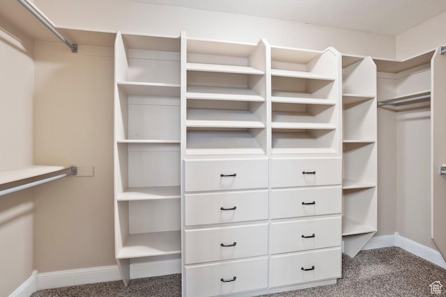 2131 S 1230 W, Syracuse, UT 84075 - spacious closet with carpet