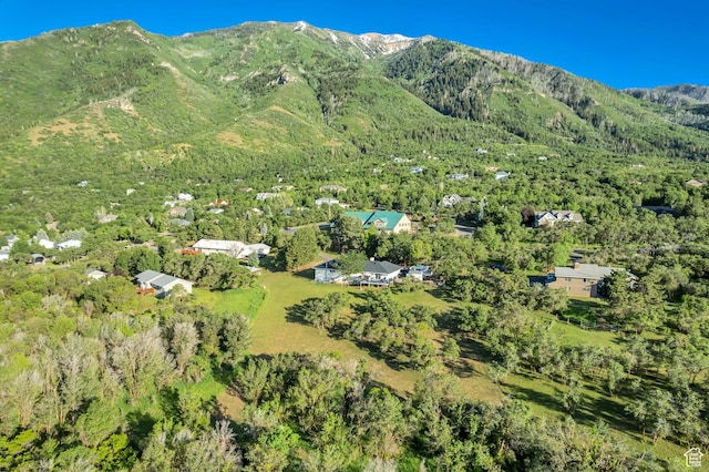 685 S Woodland Hills Dr, Woodland Hills, UT 84653 - view of mountain background