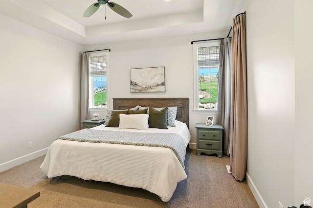 13189 N Brookside Dr, Garland, UT 84312 - bedroom with a tray ceiling, multiple windows, and light colored carpet
