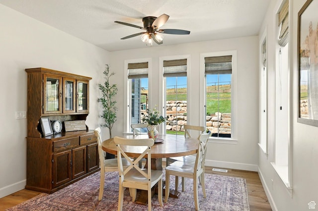 13189 N Brookside Dr, Garland, UT 84312 - dining room featuring plenty of natural light, light wood-style flooring, and ceiling fan