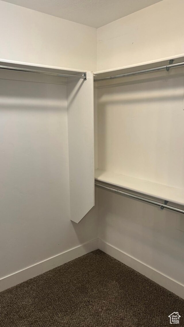539 S Chan Dr, Grantsville, UT 84029 - walk in closet with dark carpet