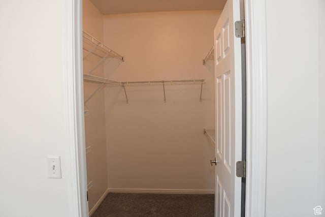3072 W Leisure Villas Ct, West Jordan, UT 84084 - spacious closet featuring carpet