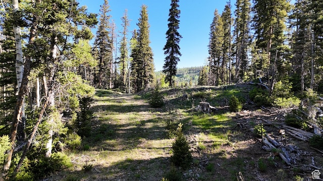 Beaver, UT 84713 - photo 65
