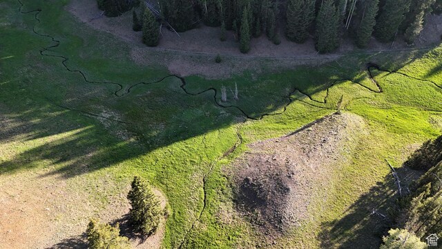 Beaver, UT 84713 - photo 18