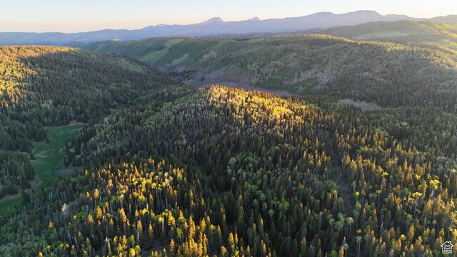 Beaver, UT 84713 - photo 31