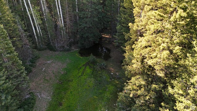 Beaver, UT 84713 - photo 42