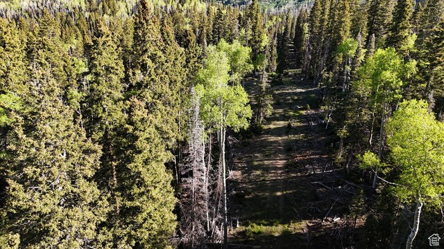 Beaver, UT 84713 - photo 54