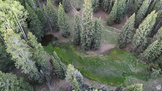 Beaver, UT 84713 - photo 35