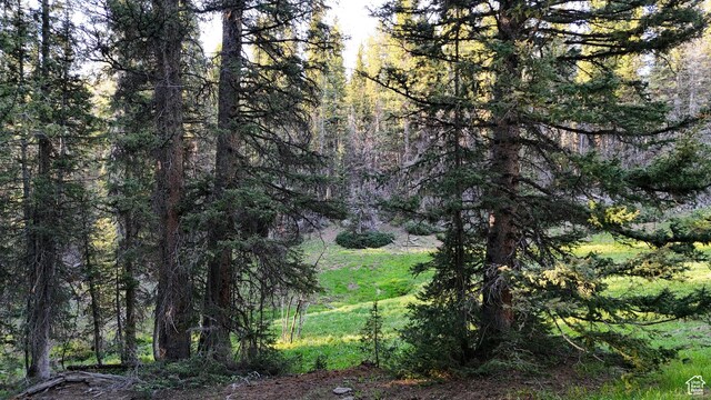 Beaver, UT 84713 - photo 29