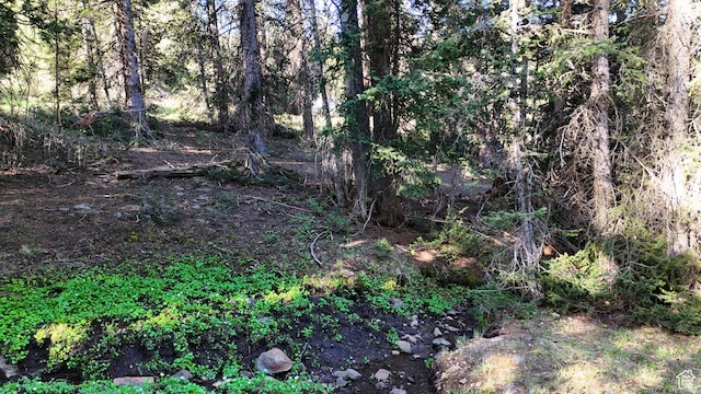 Beaver, UT 84713 - photo 46
