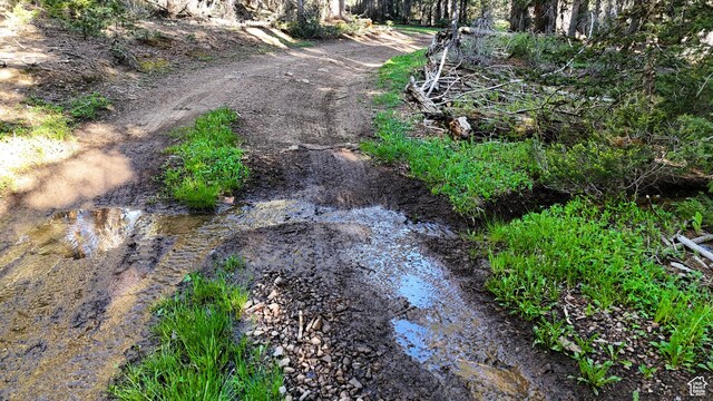 Beaver, UT 84713 - photo 59