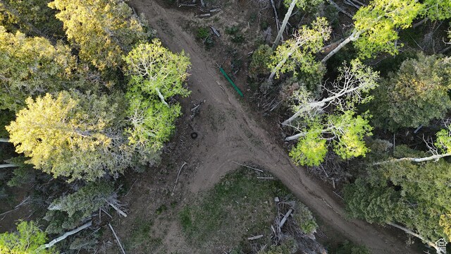 Beaver, UT 84713 - photo 38