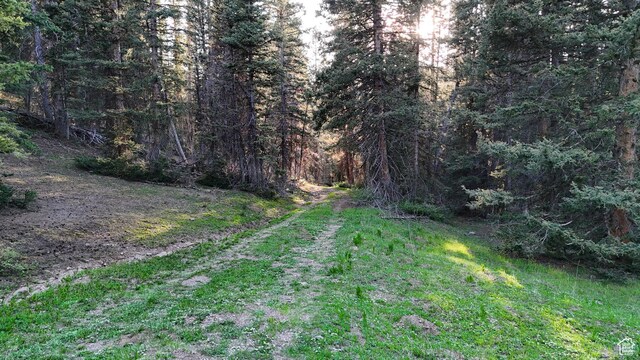 Beaver, UT 84713 - photo 27