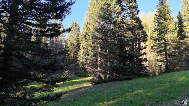 Beaver, UT 84713 - photo 30