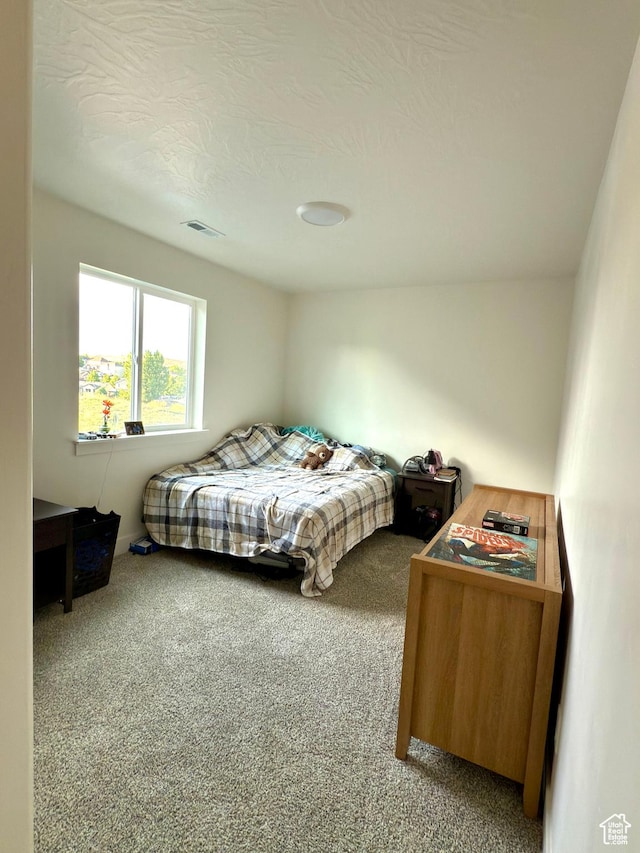 7494 N Silver Ridge Rd Unit 3466, Eagle Mountain, UT 84005 - view of carpeted bedroom
