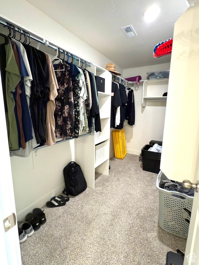 7494 N Silver Ridge Rd Unit 3466, Eagle Mountain, UT 84005 - walk in closet with carpet floors