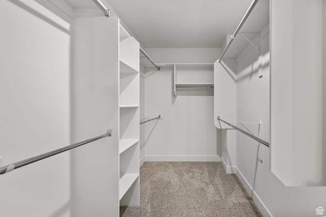7494 N Silver Ridge Rd Unit 3466, Eagle Mountain, UT 84005 - walk in closet featuring carpet floors