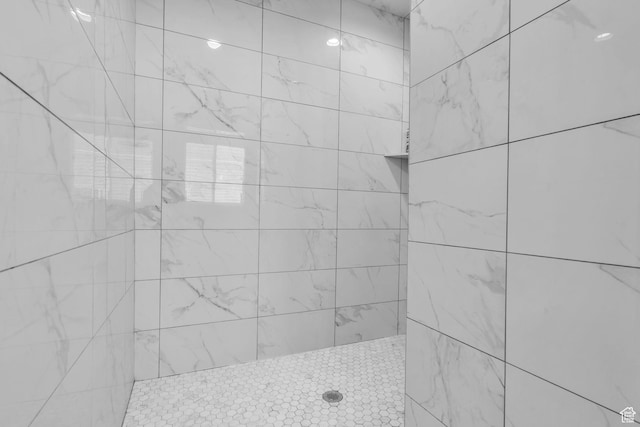 2873 S Puddle Ln, Saratoga Springs, UT 84045 - full bath featuring a tile shower