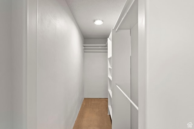 916 Cold Creek Way, Layton, UT 84041 - view of walk in closet