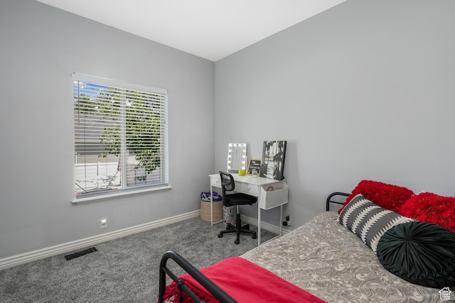 450 N 200 E, Lehi, UT 84043 - carpeted bedroom with baseboards
