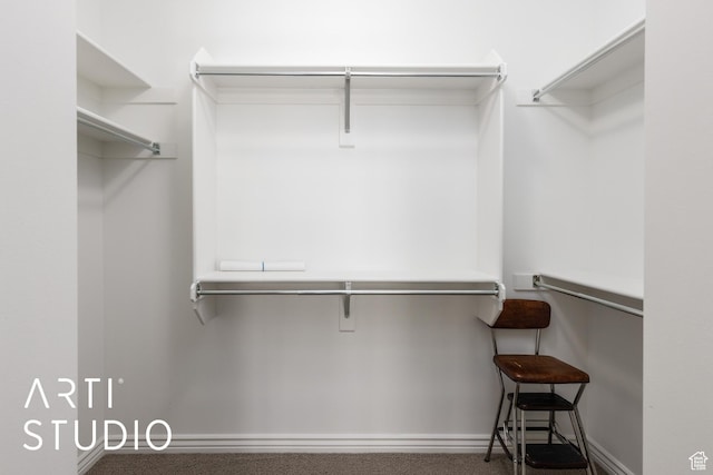 841 E 5875 S, South Ogden, UT 84405 - walk in closet with carpet