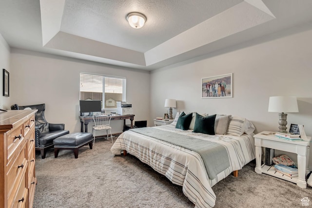 940 N Center St, Santaquin, UT 84655 - bedroom with a raised ceiling, carpet floors, and a textured ceiling