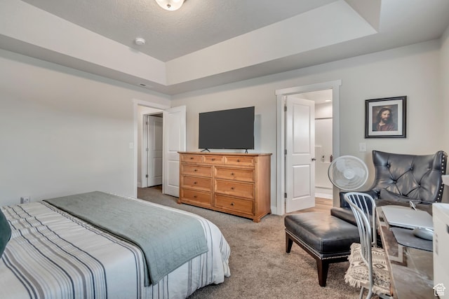 940 N Center St, Santaquin, UT 84655 - bedroom with light carpet and a tray ceiling