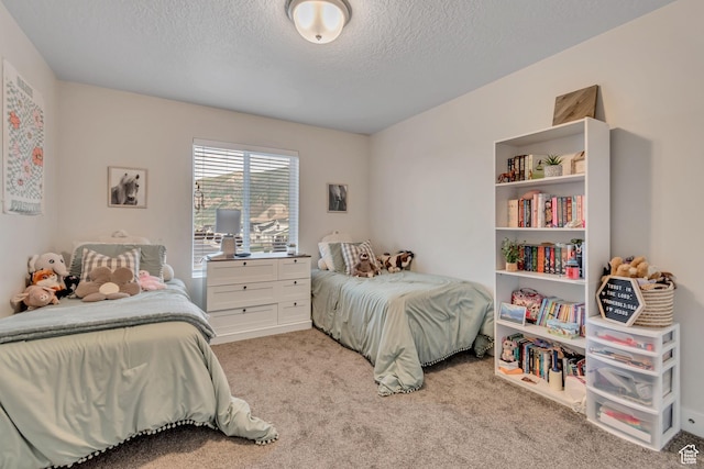 940 N Center St, Santaquin, UT 84655 - bedroom with carpet floors and a textured ceiling