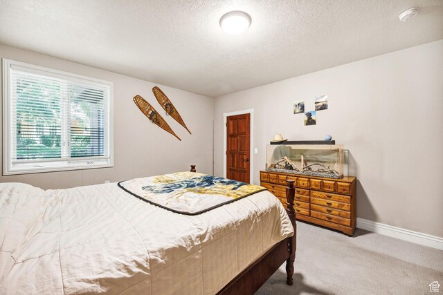 1188 N 1750 E, Logan, UT 84341 - photo 50