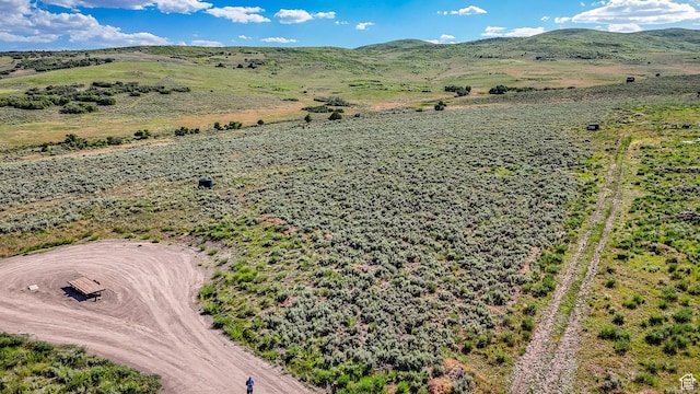 29496 N 8960 E Unit 3, Fairview, UT 84629