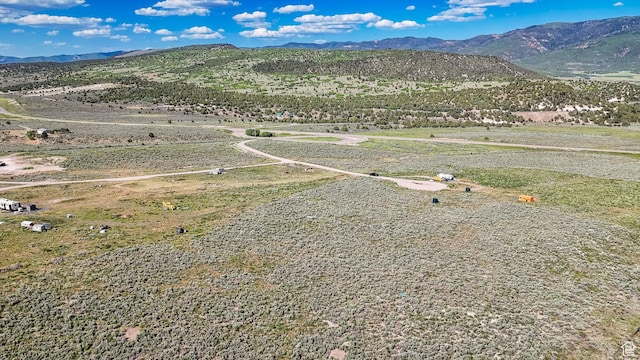29496 N 8960 E Unit 3, Fairview, UT 84629