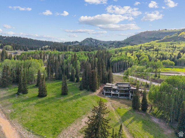 323 White Pine Canyon Rd, Park City, UT 84060 - photo 82