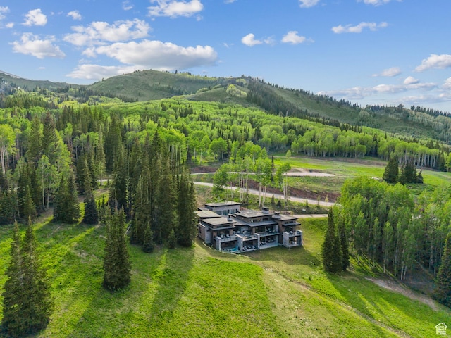 323 White Pine Canyon Rd, Park City, UT 84060 - photo 2