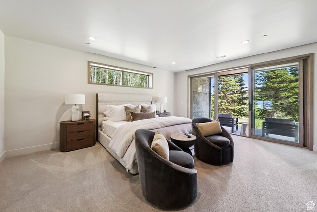 323 White Pine Canyon Rd, Park City, UT 84060 - photo 57