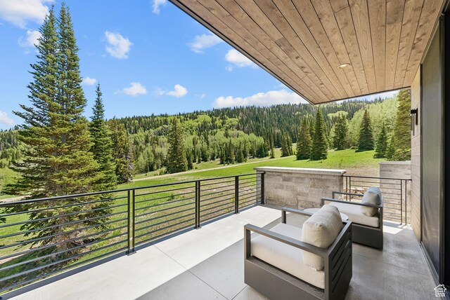 323 White Pine Canyon Rd, Park City, UT 84060 - photo 72