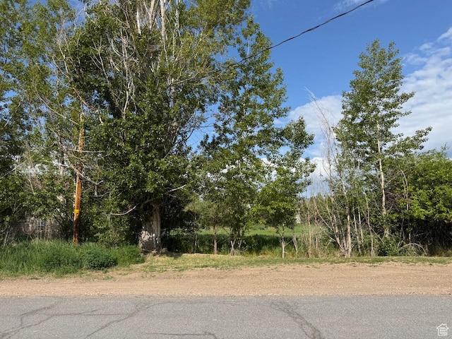 123 N 200 E Unit 1, Kamas, UT 84036